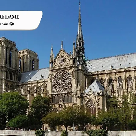 544 Champignon - Superbe A Paris